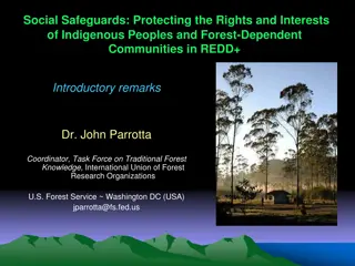 Safeguarding Indigenous Peoples and Forest Communities in REDD+