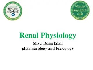 Renal Physiology and Functions