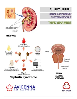 Comprehensive Study Guide for Renal & Excretory System II Module in Third Year MBBS