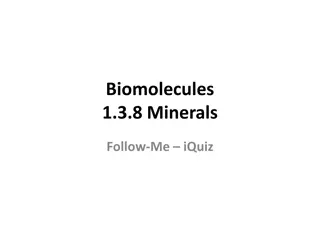 Understanding Biomolecules and Minerals: A Quiz Challenge