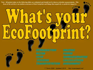 EcoFootprint Awareness Activity for Students