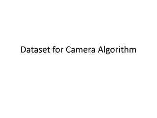 Capture and Analysis of Camera Algorithm Data