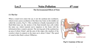 Environmental Effects of Noise Pollution on Human Health