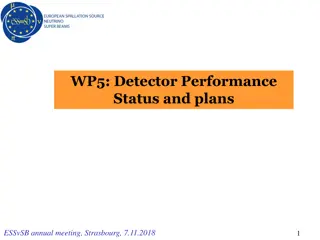 Detector Performance Status and Plans - ESS SB Annual Meeting