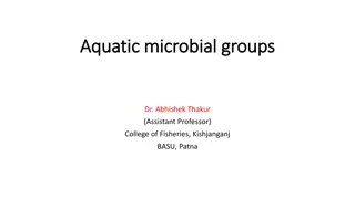 Aquatic Microbial Groups and Their Environments