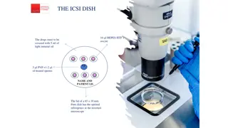 Intracytoplasmic Sperm Injection (ICSI) Procedure Overview