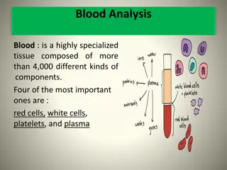 The Importance of Blood Composition and Functions