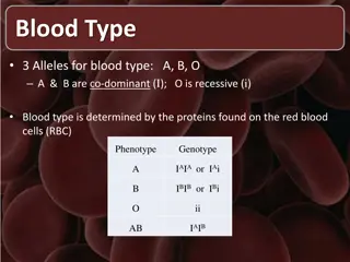 Understanding Blood Types: A Comprehensive Overview