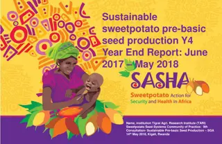 Sustainable Sweetpotato Pre-basic Seed Production Y4 Year-End Report