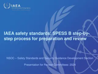 IAEA Safety Standards Development Process: SPES.B Step-by-Step Review and Preparation