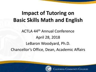 Impact of Tutoring on Basic Skills Performance: A Study Overview