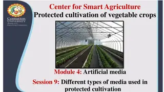 Different Types of Artificial Media for Protected Cultivation