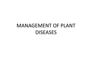 Overview of Plant Quarantine and Disease Management