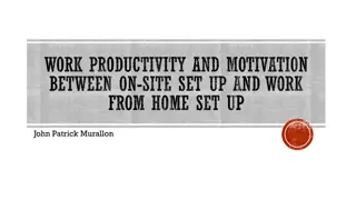 Work Productivity and Motivation: On-Site vs. Work from Home Set-Up