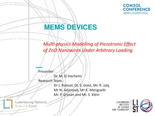 Piezotronic Effect Modelling of ZnO Nanowires Under Arbitrary Loading