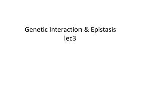 Genetic Interaction and Epistasis in Biosynthetic Pathways