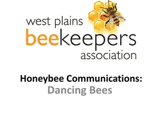 Honeybee Communication through Dance: A Fascinating Look into Bee Behavior