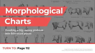 Utilizing Morphological Charts for Problem Solving