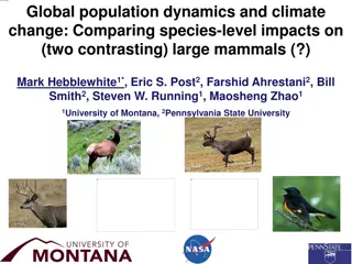 Impacts of Global Population Dynamics and Climate Change on Large Mammals