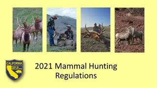 2021 Mammal Hunting Regulations and Recommendations for Consideration