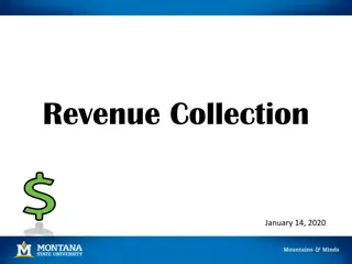 Revenue Collection and Controls Overview