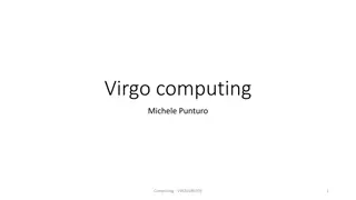 Overview of Virgo Computing Activities