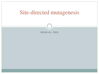 Understanding Site-Directed Mutagenesis in Molecular Biology