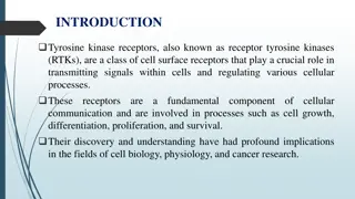 Understanding Tyrosine Kinase Receptors: Signaling and Functions