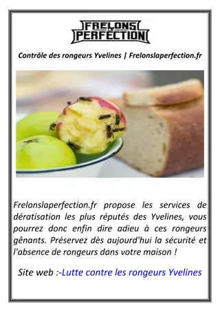 Contrôle des rongeurs Yvelines | Frelonslaperfection.fr