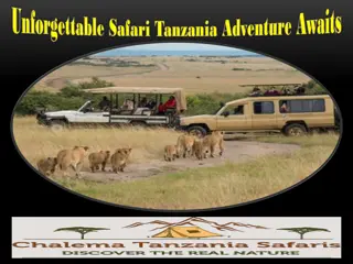 Unforgettable Safari Tanzania Adventure Awaits