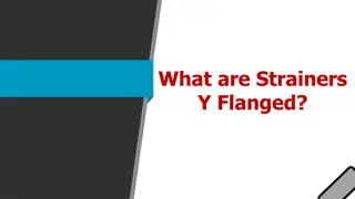 What are Strainers Y Flanged?