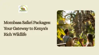 Mombasa Safari Packages Your Gateway to Kenya's Rich Wildlife