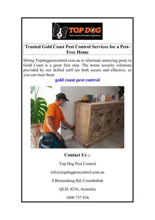 Trusted Gold Coast Pest Control Services for a Pest-Free Home