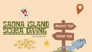 Saona Island Scuba Diving: Get a taste of marine life and coral reefs