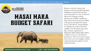 How To Plan A Quality Masai Mara Migration Safari On A Budget