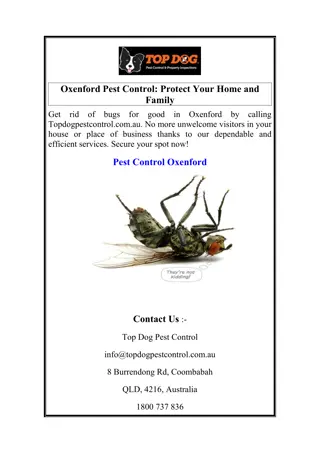 Oxenford Pest Control Protect Your Home and Family