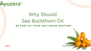 Sea Buckthorn Berry: The Nutrient-Packed Superfruit for Health and Wellness