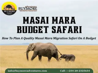 How To Plan A Quality Masai Mara Migration Safari On A Budget