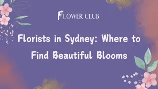 Florists in Sydney Where to Find Beautiful Blooms