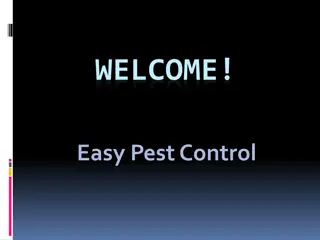 Best service for Spider Control in Rosebery