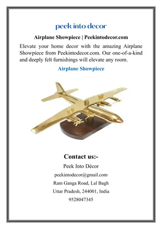 Airplane Showpiece Peekintodecor