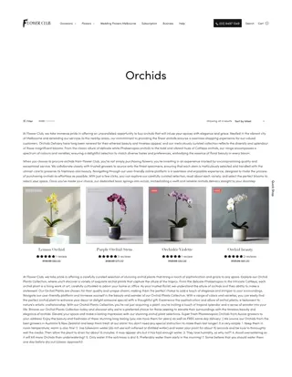 Flower Club- Orchid Delivery