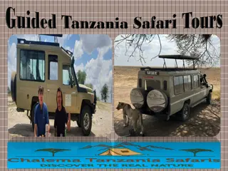 Guided Tanzania Safari Tours