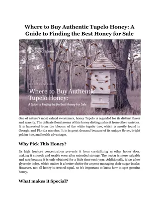 Where to Buy Authentic Tupelo Honey_ A Guide to Finding the Best Honey for Sale