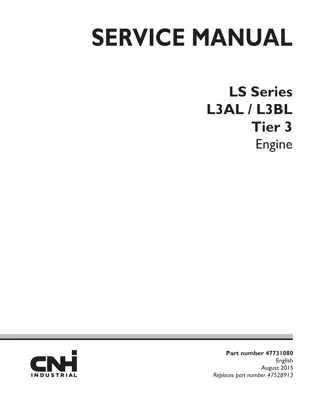 CNH LS Series L3AL  L3BL Tier 3 Engine Service Repair Manual Instant Download (Part Number 47731080)