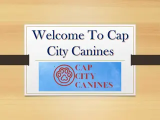 Welcome To Cap City Canines