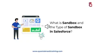 What is Sandbox and the Type of Sandbox in Salesforce