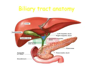 Biliary Tract Anatomy and Interventional Procedures