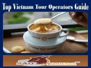 Top Vietnam Tour Operators Guide