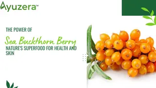 The Power of Sea Buckthorn Berry: Nature's Superfood for Health and Skin